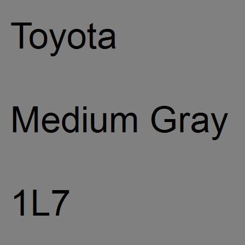 Toyota, Medium Gray, 1L7.